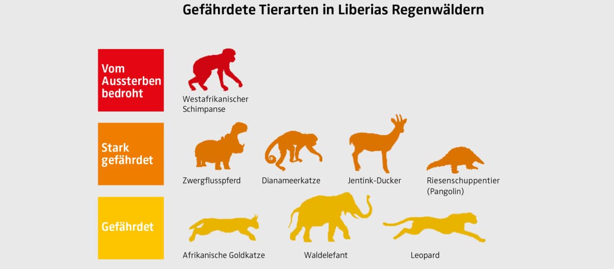 Gráfico de especies animales en peligro de extinción en Liberia