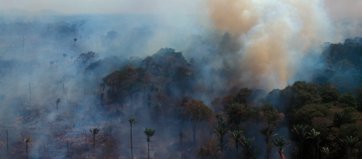 Vista aérea de una selva en llamas