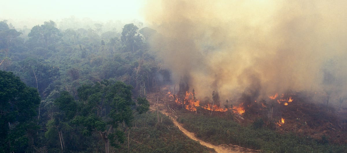 Fuego en la Amazonía