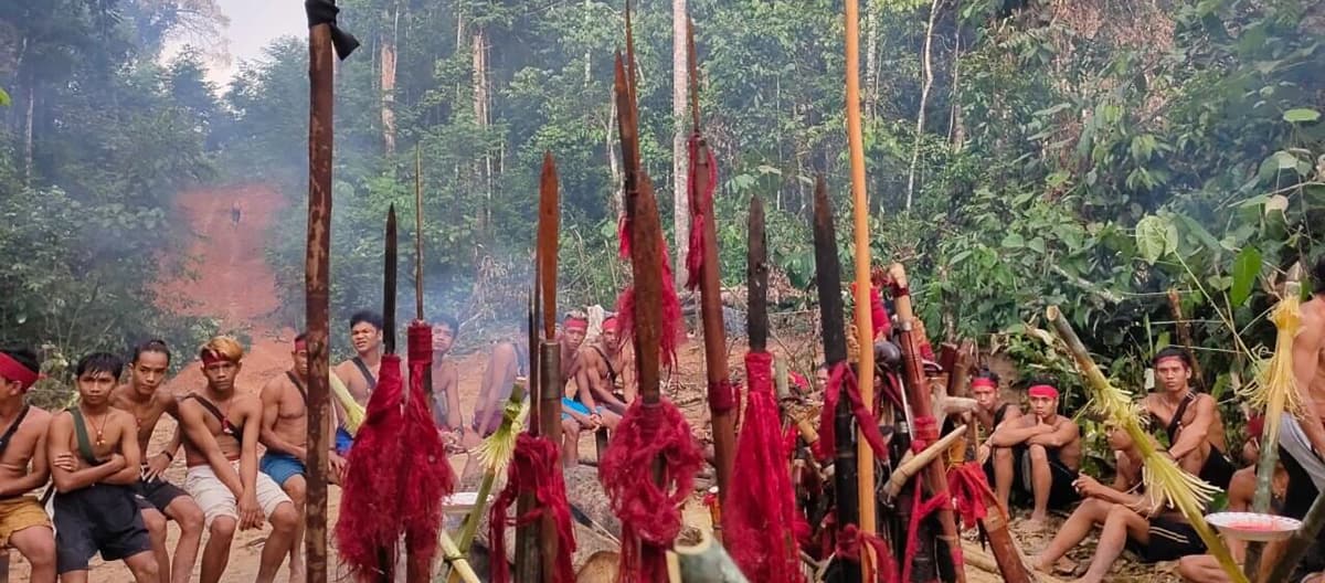 Indígenas Dayak Tomun de Kinipan resisten contra la deforestación de su bosque por la empresa de aceite de palma SML