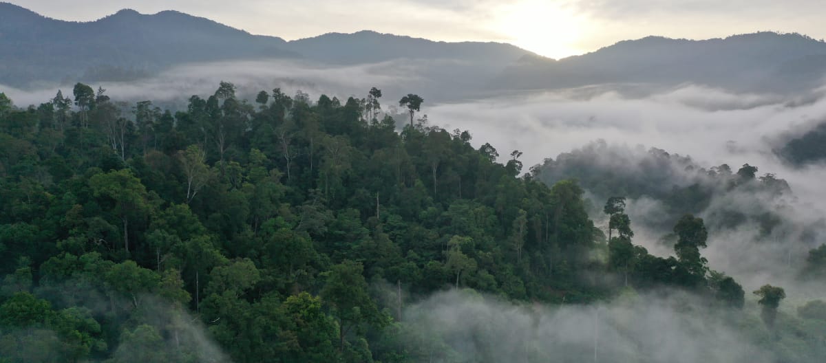 Vista de las montañas boscosas nubladas de Gayo