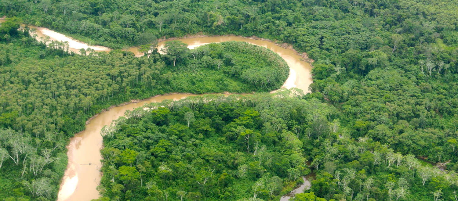 Un río atraviesa un bosque tropical en el Perú