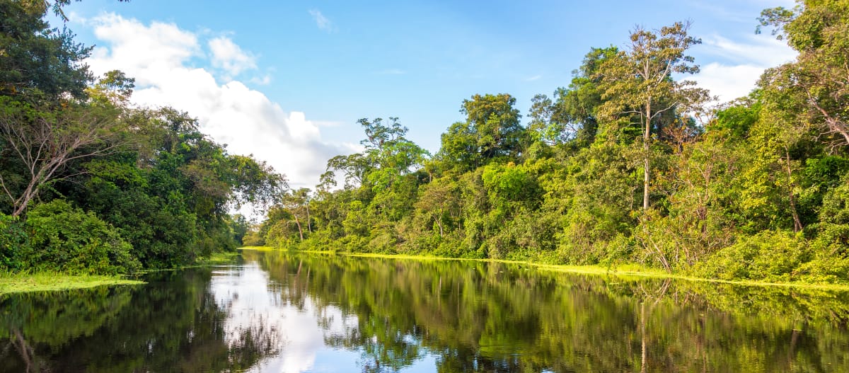 A orillas del Río Yanayacu, cerca de Iquitos, Perú