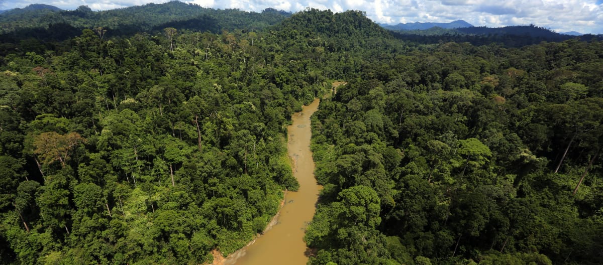 Río en la selva tropical de Borneo, visto desde arriba