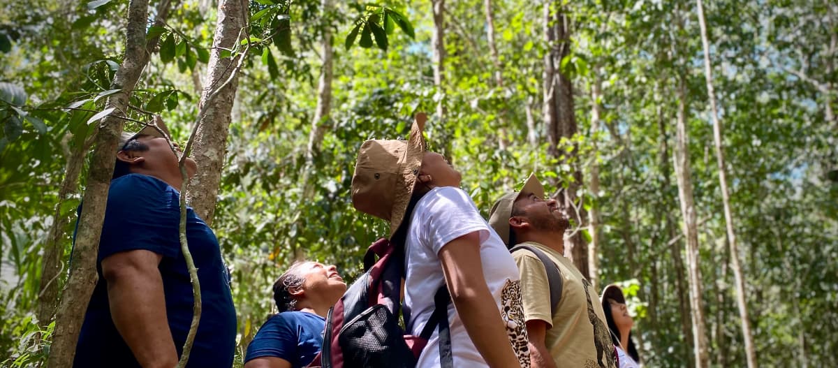 Un grupo de personas mira hacia las copas de los árboles en la selva