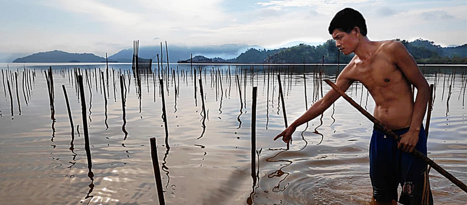 Contaminación del mar por fundición de níquel