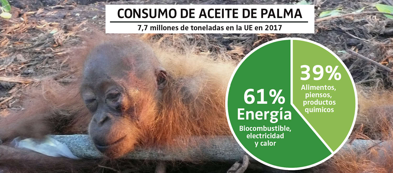 Fotomontaje sobre el consumo de aceite de palma en la UE en 2017