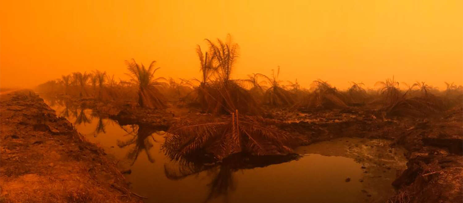 Incendio en la comunidad Puding, distrito Muaro Jambi, Sumatra, Septiembre 2019