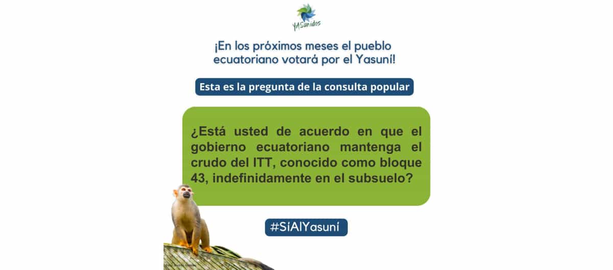 Gráfico de YASunidos con la pregunta sobre la que se realizará un referéndum nacional en Ecuador, el 20 de Agosto de 2023: "¿Está usted de acuerdo con que el Gobierno ecuatoriano mantenga el crudo del ITT, conocido como bloque 43, indefinidamente?"