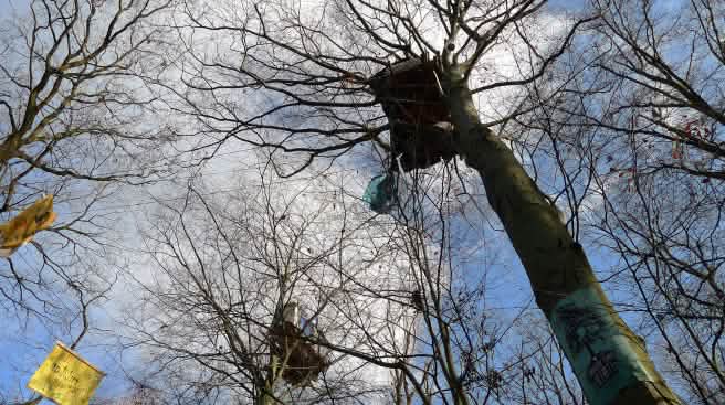 Casa del árbol en el bosque de Hambach, desmantelada por la policía alemana Casa del árbol en el bosque de Hambach