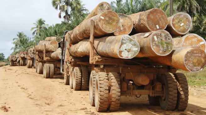 Camión transporta troncos en Liberia