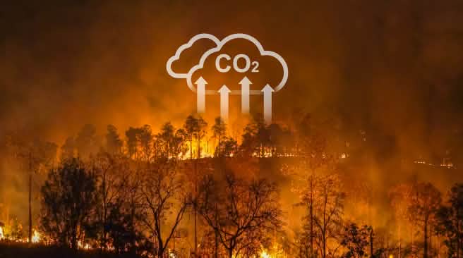 Incendio forestal con un gráfico superpuesto que indica el desprendimiento de CO2