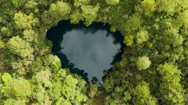Una laguna en forma de corazón de aguas oscuras rodeada por una densa selva verde; vista desde arriba, se distingue claramente el contraste entre el agua y el bosque