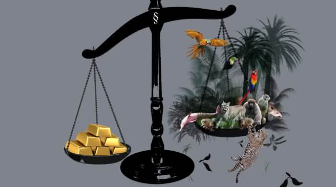 Balanza en la que se sopesa el oro frente a la selva, la cual sale perdiendo