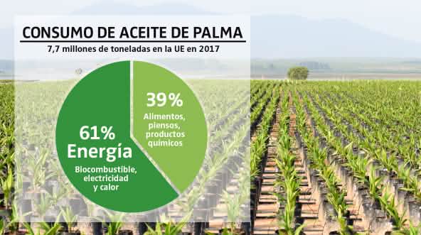 Gráfico - Uso de aceite de palma en la UE en 2017 / Fondo, plantación de palma aceitera