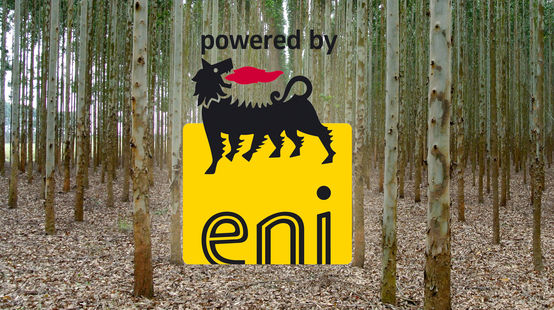 Collage: plantación de eucalipto con el logo de ENI