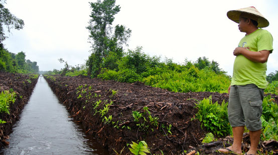 Matek Geram, ecologista malasio, delante de un extenso canal de drenaje que atraviesa una turbera en Sarawak