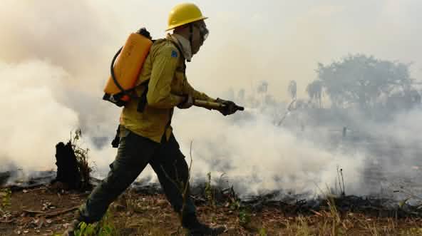 Una persona con vestimenta de protección frente al fuego y una mochila de agua a la espalda arroja agua sobre los restos de vegetación que arden en el suelo