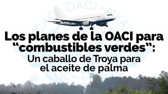 Los planes de OACI de biocombustibles a base de aceite de palma para la aviación