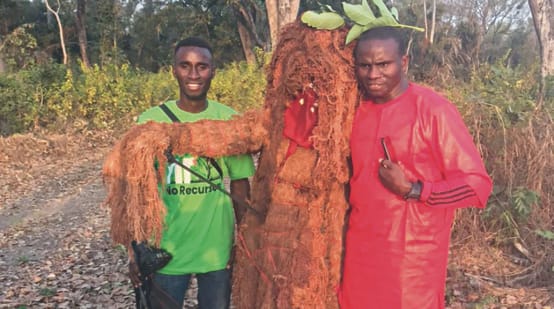 Espiritualidad en Guinea-Bissau