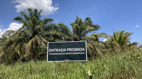 Delante de una plantación de palma aceitera, c artel de la empresa Agropalma, en el que se lee “Entrada prohibida. Propiedad del grupo Agropalma”