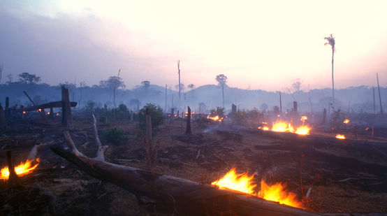 Incendio en Brasil