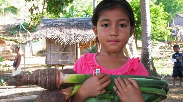 Niña Pala’wan en su comunidad con un taro, verdura local