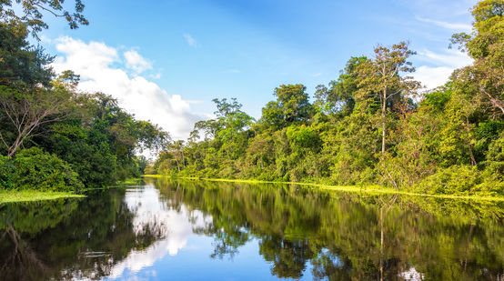 A orillas del Río Yanayacu, cerca de Iquitos, Perú