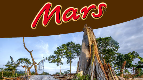 Fotomontaje: Tala de la selva + logo de Mars