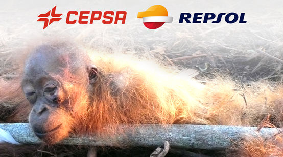 Orangután en agonía, con logos Repsol y Cepsa