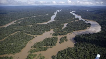 Vista aérea del paisaje fluvial en la selva amazónica