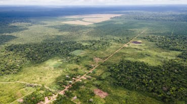 Vista aérea de una pequeña comunidad a lo largo de un camino recto y detrás las plantaciones de palma aceitera van avanzando y disminuyendo la selva tropical.