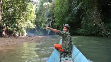 Un hombre señala la selva tropical en Sarawak, Borneo, desde un bote