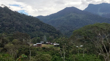 Comunidad de Tsumtsuim en el territorio Shuar, al sur del Ecuador