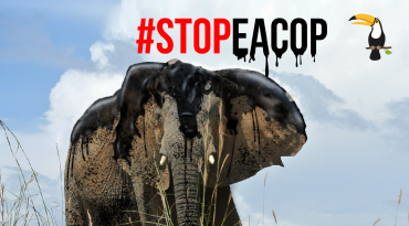 Fotomontaje: El petróleo es un gran peligro para los elefantes - #StopEACOP