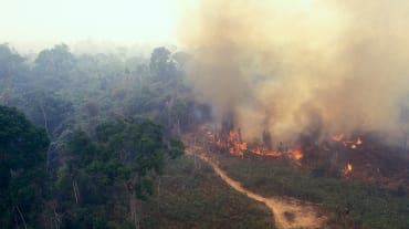 Fuego en la Amazonía