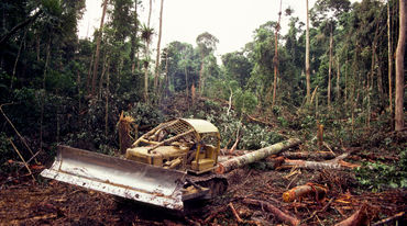 Bulldozer talando la selva