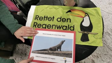Salva la Selva/Rettet den Regenwald y petición en defensa del dragón de Komodo sobre la mesa