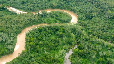 Un río atraviesa un bosque tropical en el Perú