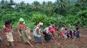 Mujeres plantando arroz en la ladera de una montaña