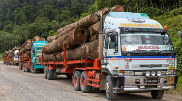 Transporte de madera en camiones en el distrito de Tawau en Sabah