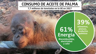 Fotomontaje sobre el consumo de aceite de palma en la UE en 2017