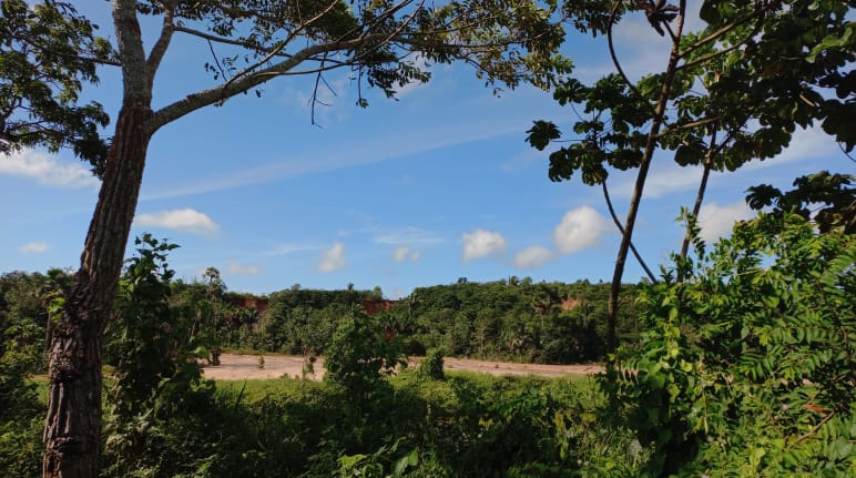 Paisaje de la isla de Taua Mirim, para la que se pide reconocimiento oficial y la creación de una reserva