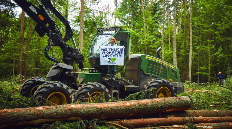 Protesta contra la tala del bosque de Bialowieza en Polonia