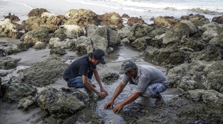 Dos hombres muestran trozos de betún tóxico  Betún en una costa contaminada