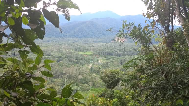 Panorámica del Alto Napo, se ve una llanura de la selva amazónica y al fondo las montañas