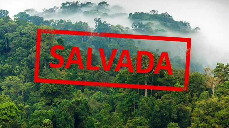 Selva amazónica con la inscripción "salvada"