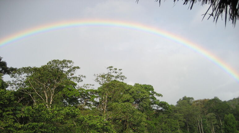 Un arcoiris sobre la reserva de biosfera Indio Maíz en Nicaragua