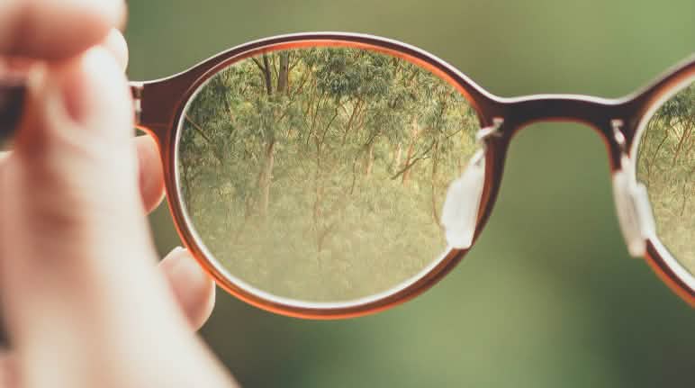 La transparencia genera confianza Gafas enfocando la selva con claridad