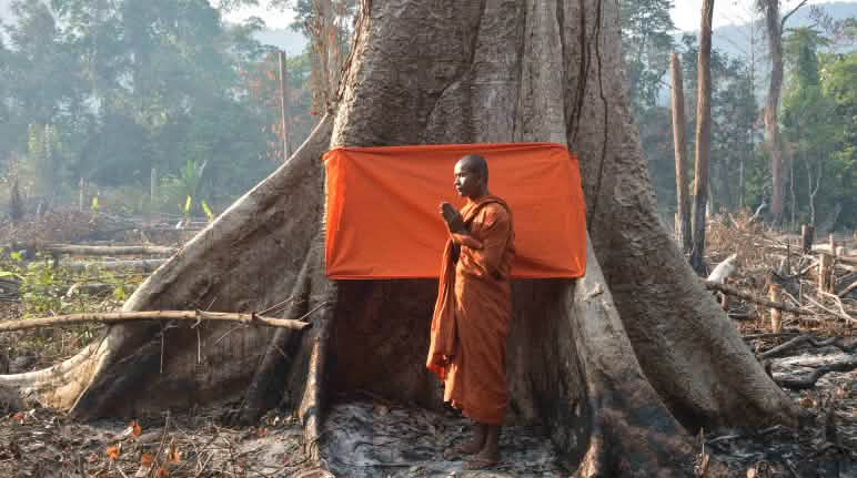 Mother Nature Cambodia ha logrado impedir la construcción de una presa en el valle de Areng. Monje de perfil, vestido de color naranja, con las manos en actitud de rezo, delante de un árbol del que cuelga una faja también de color naranja